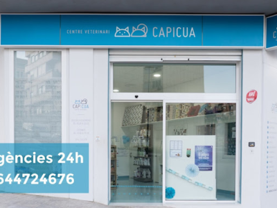 Cap i Cua Centre Veterinari (L'Olleria)