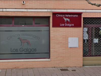 Clínica Veterinaria Los Galgos (Medina del Campo)
