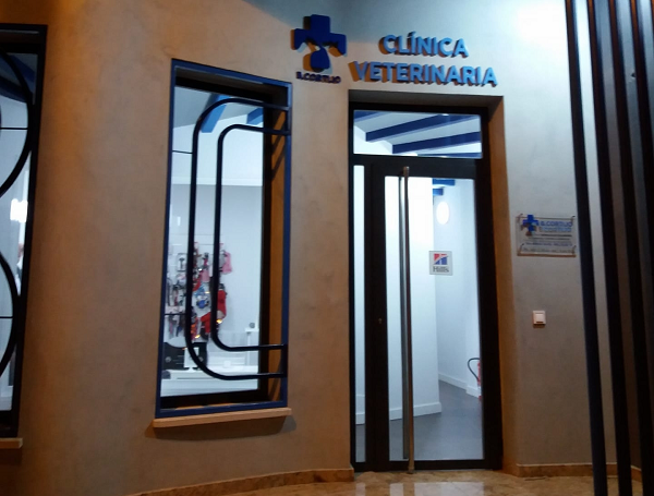 Clínica Veterinaria Beatriz Cortijo (Tordesillas)