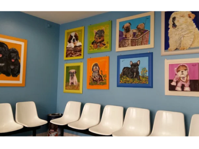 Centro Clínico Veterinario San Ignacio (Valladolid)