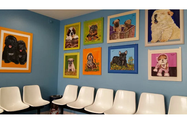 Centro Clínico Veterinario San Ignacio (Valladolid)