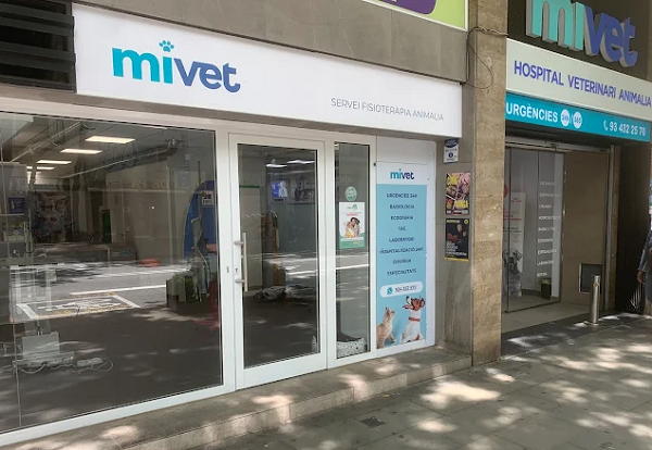 Centro Veterinario Animalia (Valladolid)