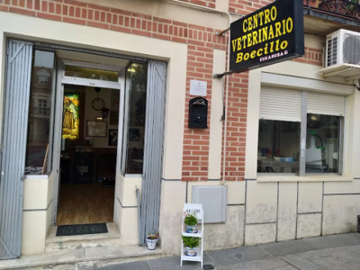 Centro Veterinario Boecillo (Boecillo)