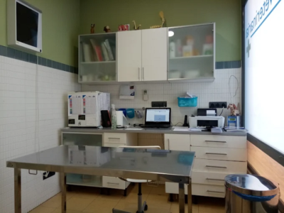 Clínica Veterinaria Tirso de Molina (Valladolid)
