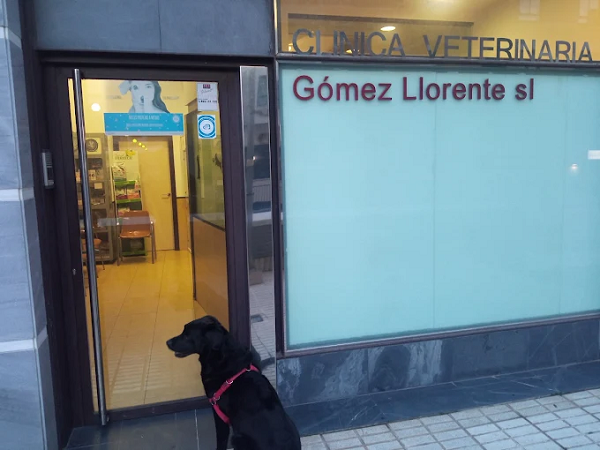 Clínica Veterinaria Gómez Llorente (Valladolid)