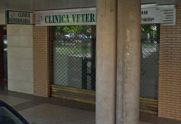 Clínica Veterinaria San Vicente (Valladolid)