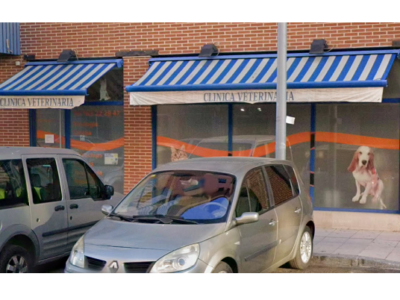 Clínica Veterinaria Hípica 29 (Valladolid)