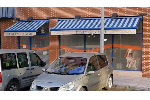Clínica Veterinaria Hípica 29 (Valladolid)