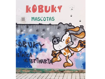 Kobuky (Valladolid)