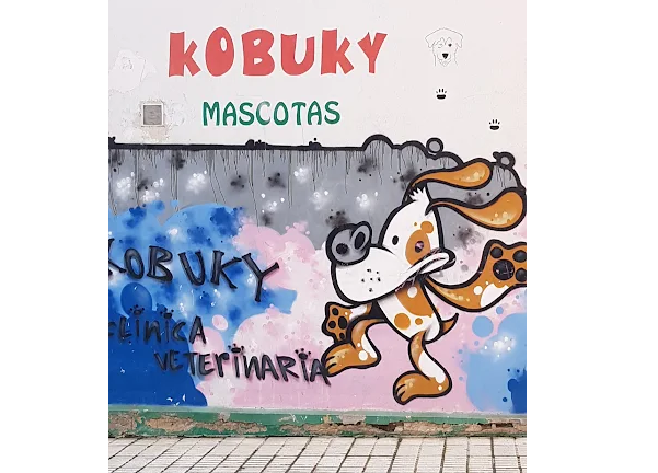 Kobuky (Valladolid)