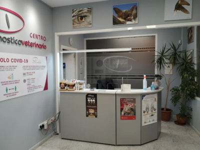 Centro Diagnóstico Veterinario (Cistérniga)