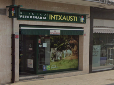 Intxausti (Amorebieta-Etxano)