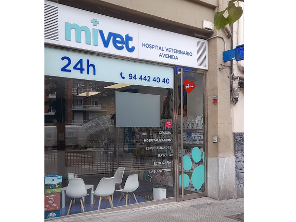 Hospital Veterinario Avenida | MiVet (Barakaldo)