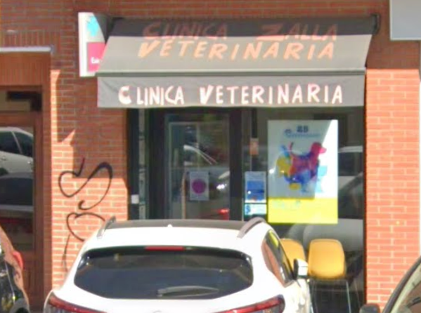 Clínica Veterinaria Zalla (Mimetiz)