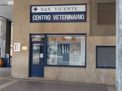 Centro Veterinario San Vicente (Barakaldo)