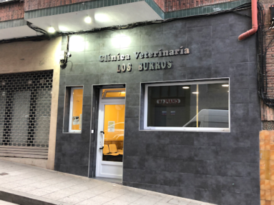 Clínica Veterinaria LOS BURROS (Basauri)