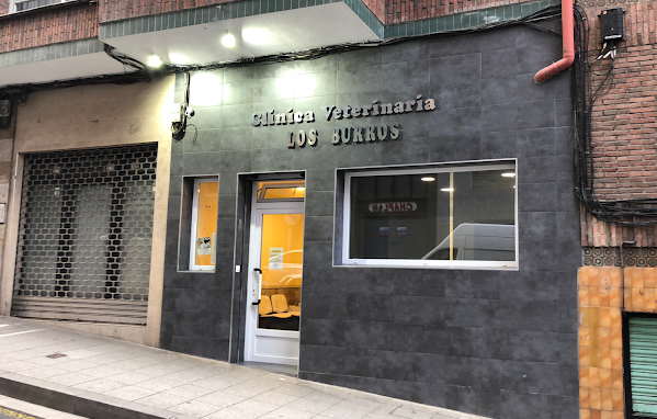 Clínica Veterinaria LOS BURROS (Basauri)