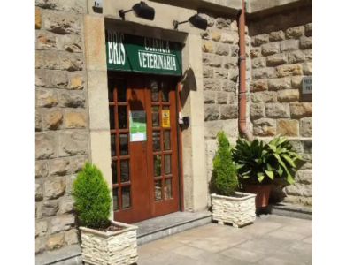 Clínica Veterinaria Bris (Bilbao)