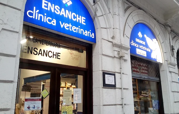 Clínica Veterinaria Ensanche (Bilbao)