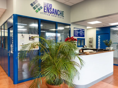 Clínica Veterinaria Nuevo Ensanche (Bilbao)