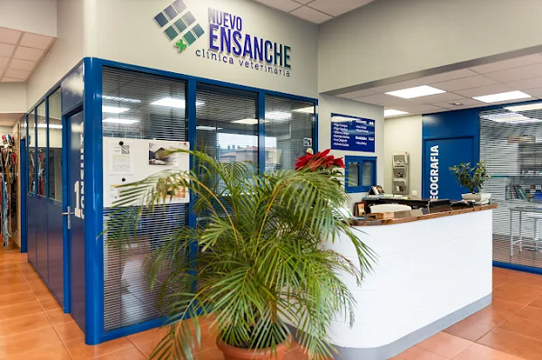 Clínica Veterinaria Nuevo Ensanche (Bilbao)