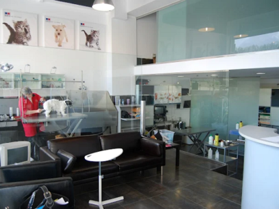 Servicios Veterinarios IAS (Bilbao)