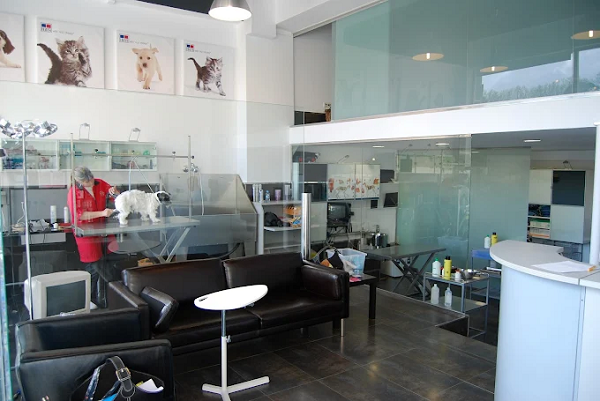 Servicios Veterinarios IAS (Bilbao)