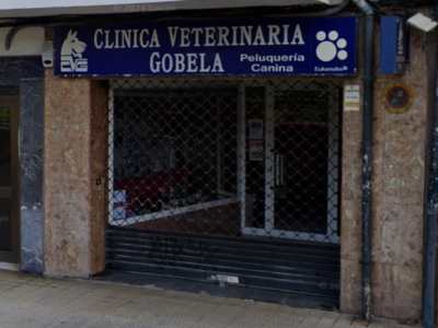 Clínica Veterinaria Gobela (Getxo)