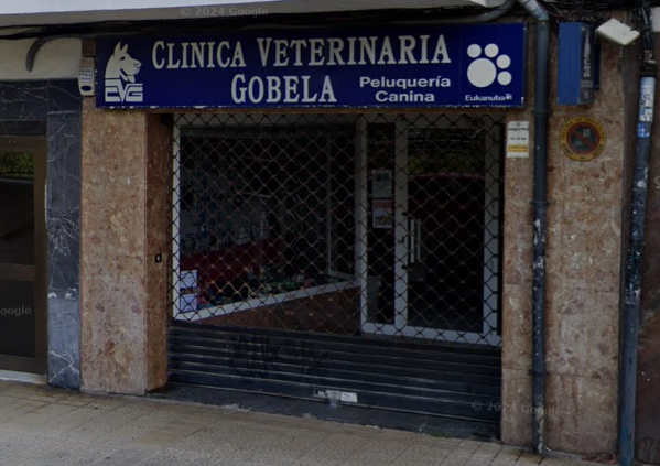 Clínica Veterinaria Gobela (Getxo)