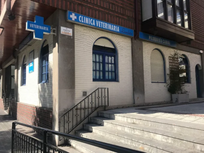 Clínica Veterinaria Landeta (Getxo)
