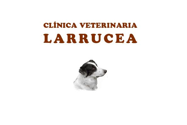 Clínica Veterinaria Larrucea (Leioa)