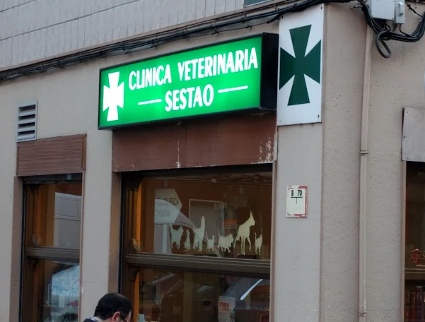 Clínica Veterinaria Sestao (Sestao)