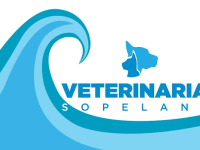 Clínica Veterinaria Sopelana (Moreaga)