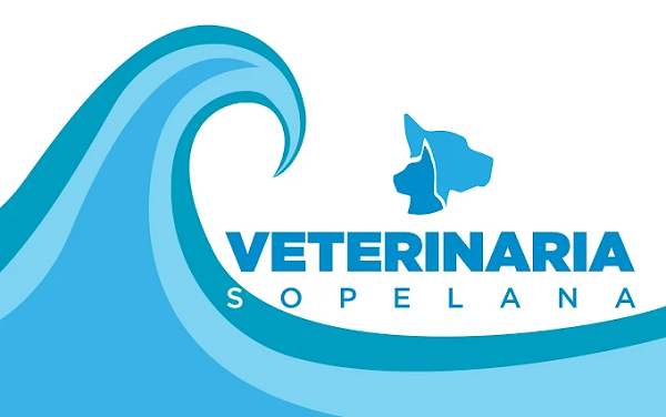 Clínica Veterinaria Sopelana (Moreaga)