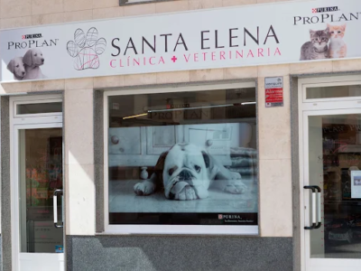 Clínica Veterinaria Santa Elena (Zamora)