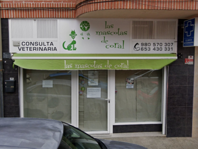 Las Mascotas de Coral (Morales del Vino)