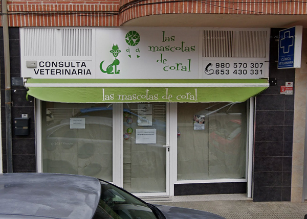 Las Mascotas de Coral (Morales del Vino)