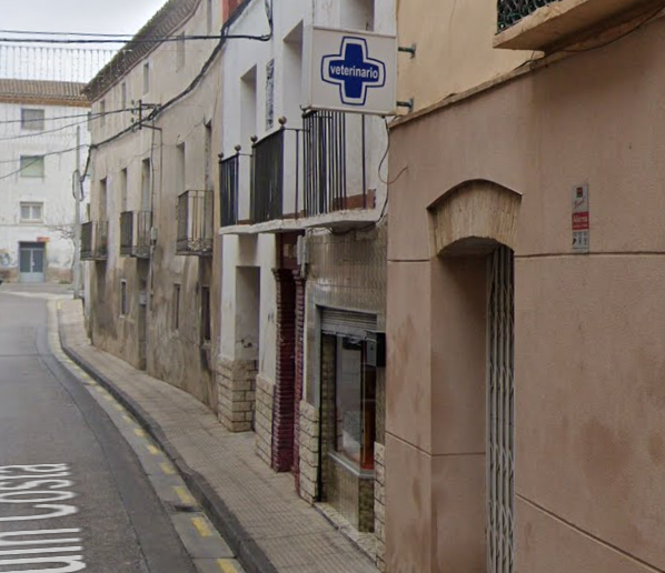 Ana Maria Sanjuan Benedi (Alagón)