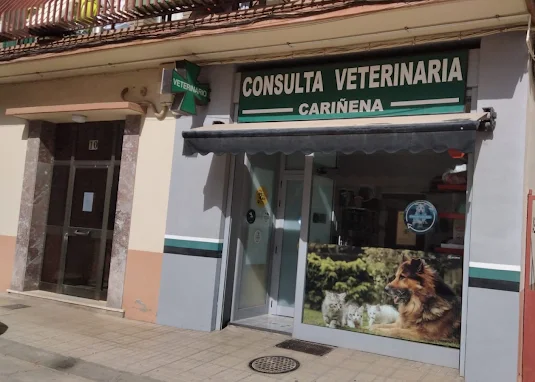 Consultorio Veterinario La Almunia - Cariñena (Cariñena)