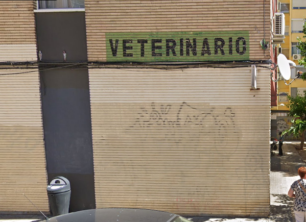 Veterinario (Zaragoza)
