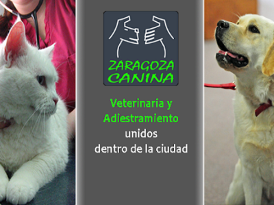 Zaragoza Canina (Zaragoza)
