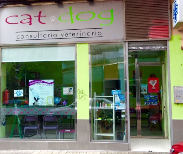 Cat-Dog (Zaragoza)
