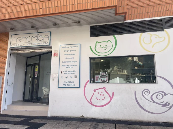 Clínica Veterinaria Artemisa (Zaragoza)