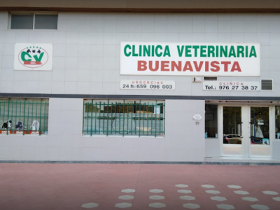 Clínica Veterinaria Buenavista (Zaragoza)