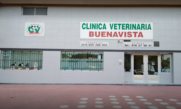 Clínica Veterinaria Buenavista (Zaragoza)