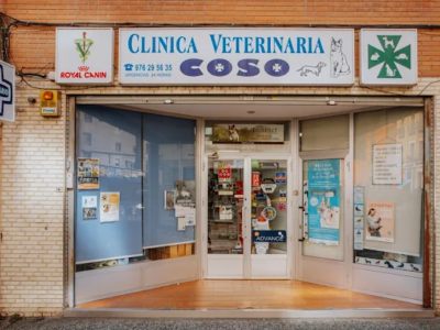 Clínica Veterinaria Coso (Zaragoza)