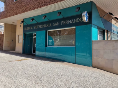 Clínica Veterinaria San Fernando (Zaragoza)