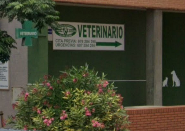Clínica Veterinario Puerta Sancho (Zaragoza)