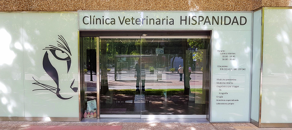 Hispanidad (Zaragoza)