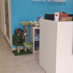 Bastet Clínica Veterinaria (Reus)
